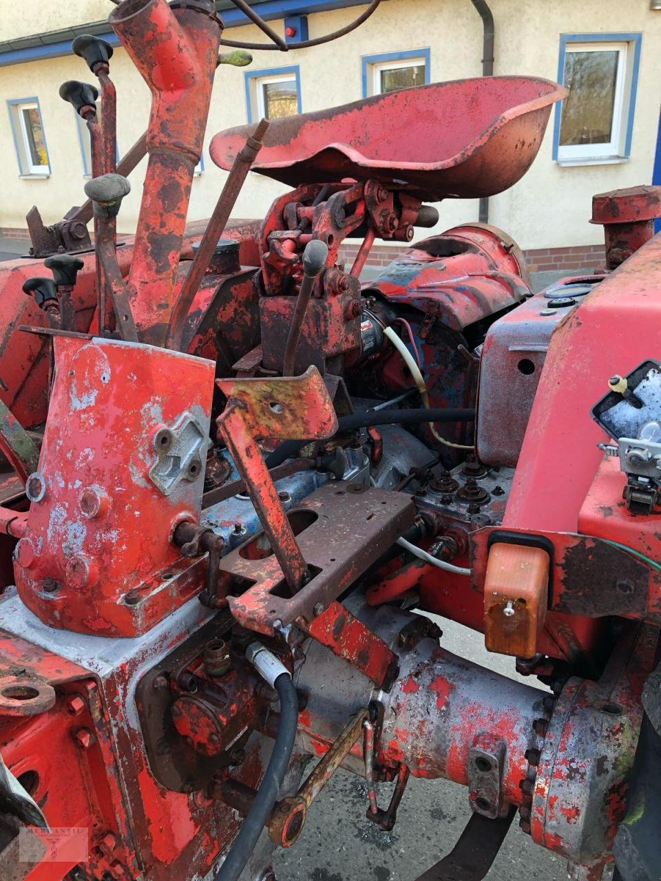 Traktor a típus Fortschritt RS09/124 - GT 124, Gebrauchtmaschine ekkor: Pragsdorf (Kép 14)