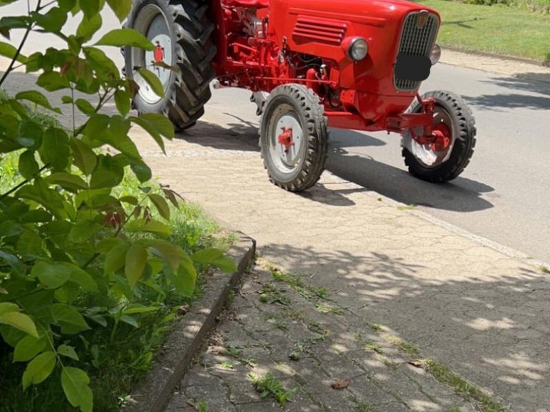 Traktor a típus Güldner G30, Gebrauchtmaschine ekkor: Bad Dürrheim  (Kép 1)