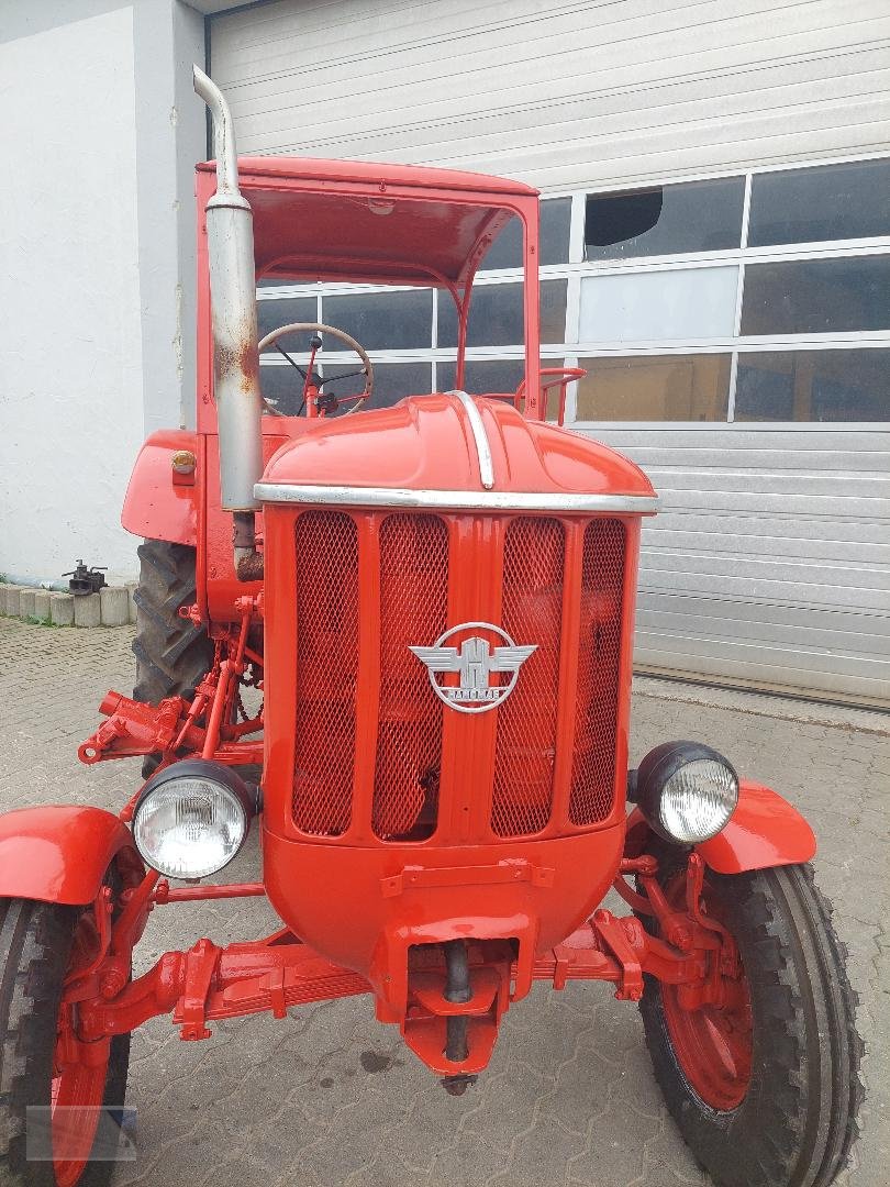 Traktor du type Hanomag Brillant 601, Gebrauchtmaschine en Kleinlangheim - Atzhausen (Photo 2)