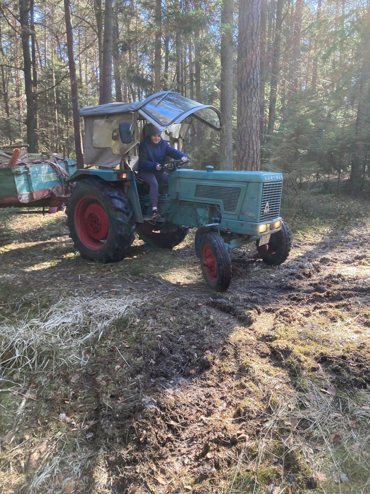 Traktor типа Hanomag Perfect 400, Gebrauchtmaschine в Fichtenau (Фотография 2)