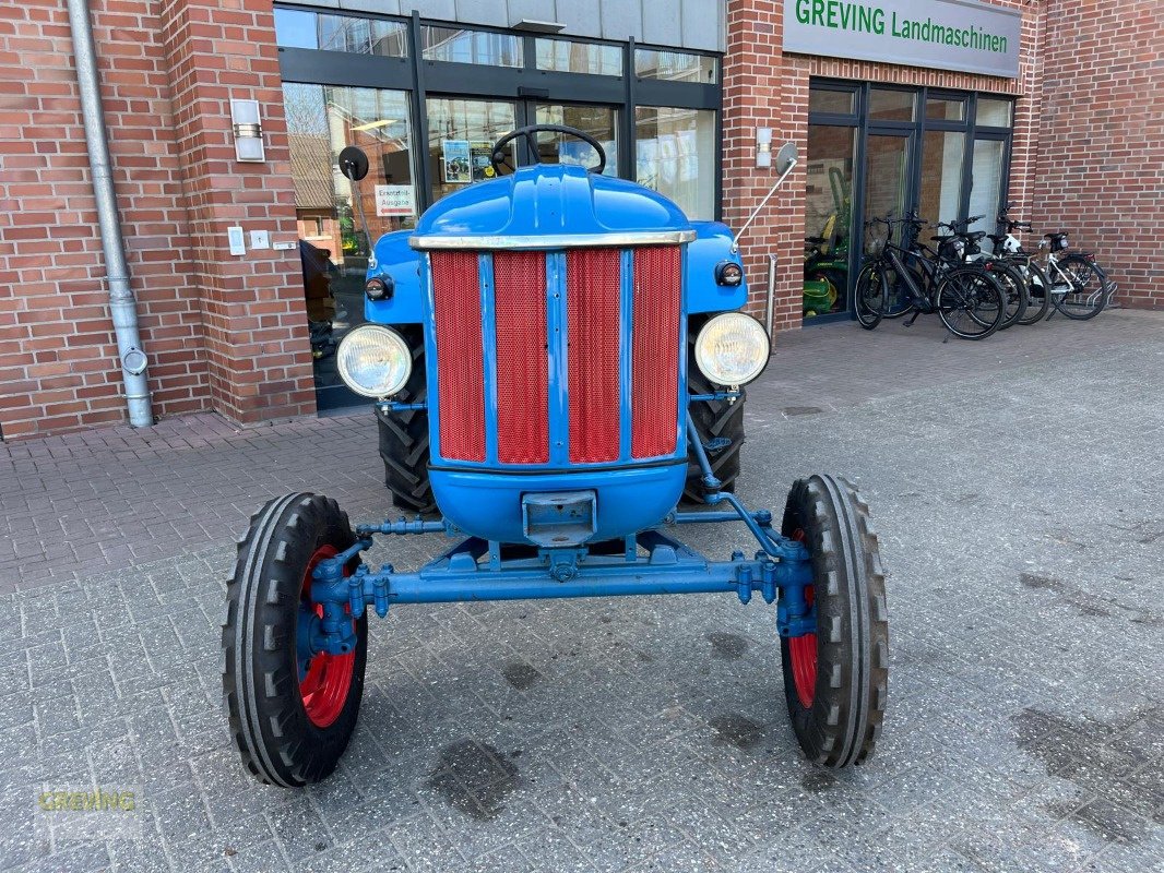 Traktor типа Hanomag Perfekt 300, Gebrauchtmaschine в Ahaus (Фотография 2)