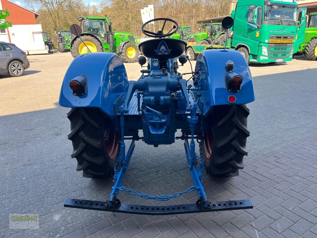 Traktor del tipo Hanomag Perfekt 300, Gebrauchtmaschine en Ahaus (Imagen 5)