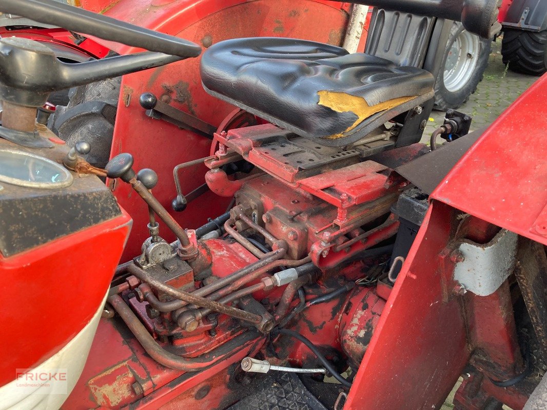 Traktor tipa IHC 423, Gebrauchtmaschine u Bockel - Gyhum (Slika 14)