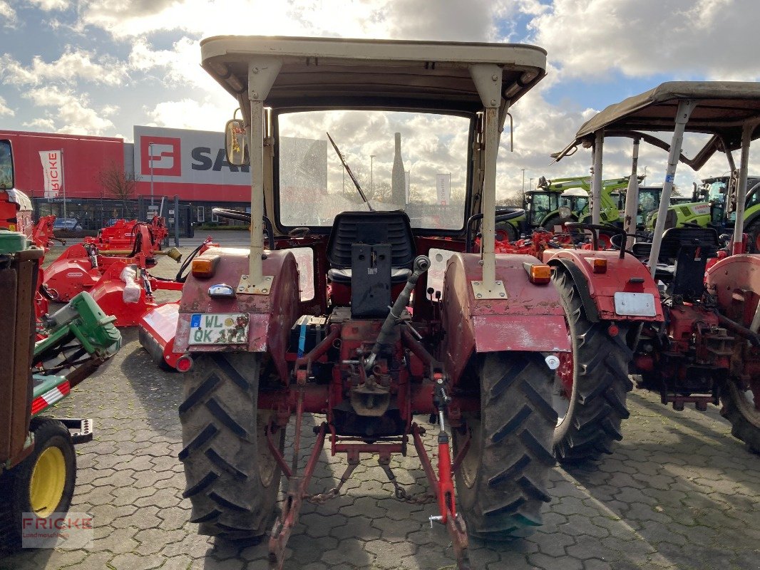 Traktor typu IHC 423, Gebrauchtmaschine v Bockel - Gyhum (Obrázek 5)
