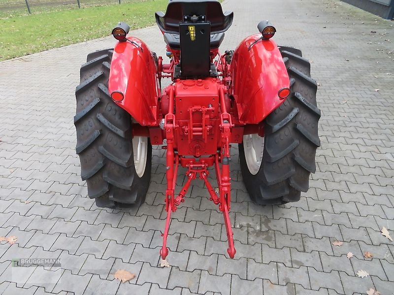 Traktor от тип IHC 633E Plantagentrecker, komplett restauriert, Gebrauchtmaschine в Meppen (Снимка 3)