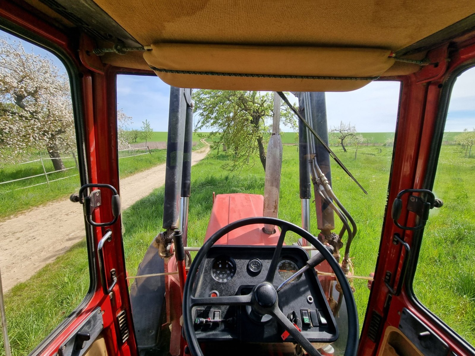 Traktor del tipo IHC 844 XL, Gebrauchtmaschine In Seinsheim (Immagine 12)