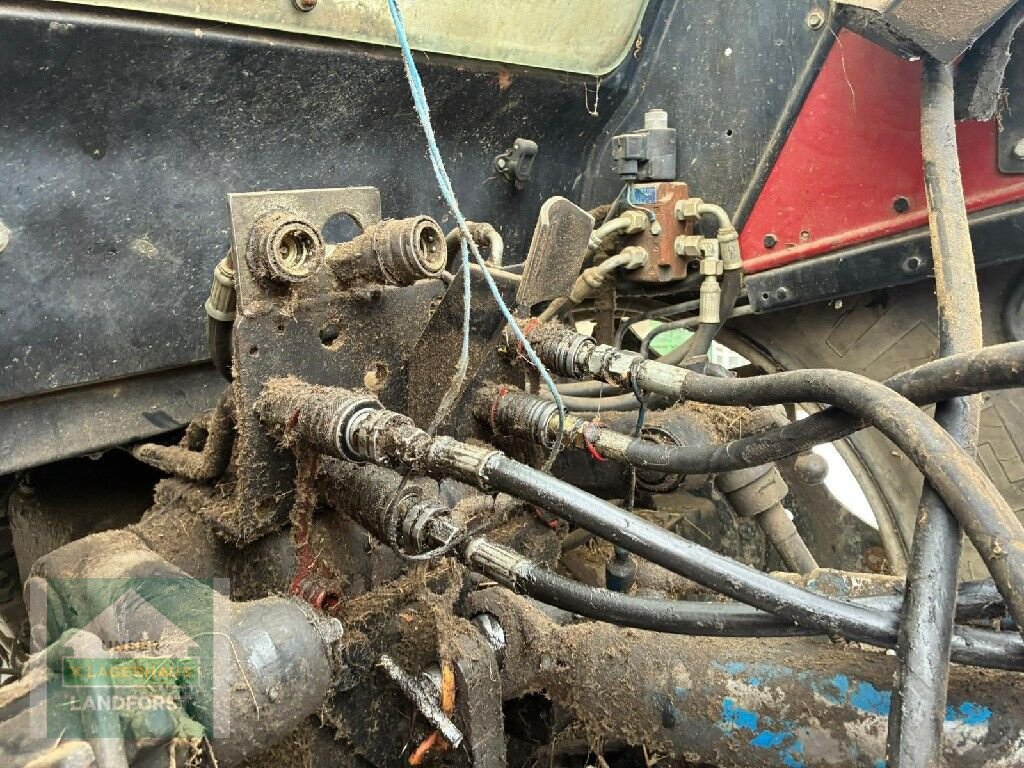 Traktor a típus IHC 844, Gebrauchtmaschine ekkor: Murau (Kép 12)