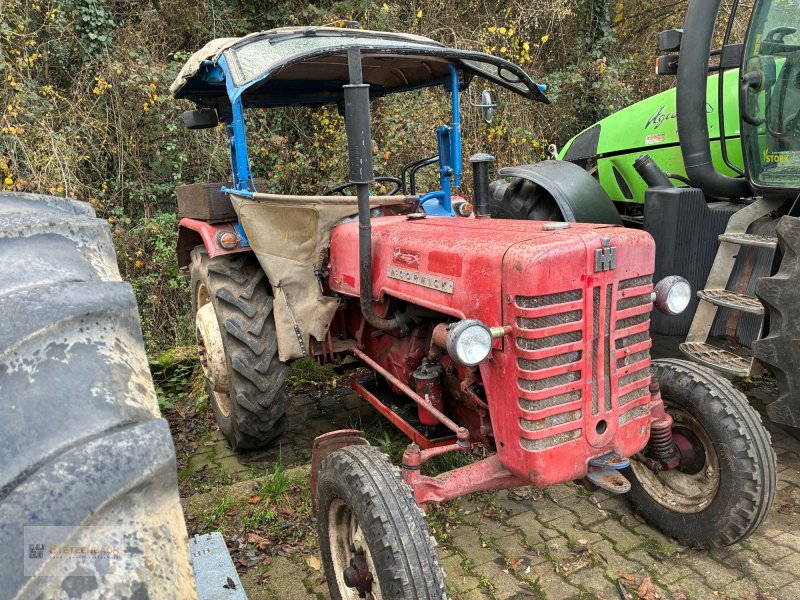 Traktor des Typs IHC D 439, Gebrauchtmaschine in Niederkirchen (Bild 1)