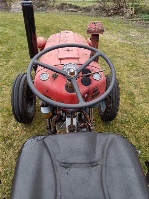 Traktor του τύπου IMT 533 De luxe, Gebrauchtmaschine σε Egtved (Φωτογραφία 10)