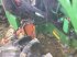 Traktor des Typs John Deere 5075 E, Vorführmaschine in Herzogenburg (Bild 25)