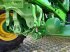 Traktor типа John Deere 6100rc, Gebrauchtmaschine в GROBELNO (Фотография 12)