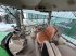 Traktor del tipo John Deere 6175R, Gebrauchtmaschine In Sittensen (Immagine 8)