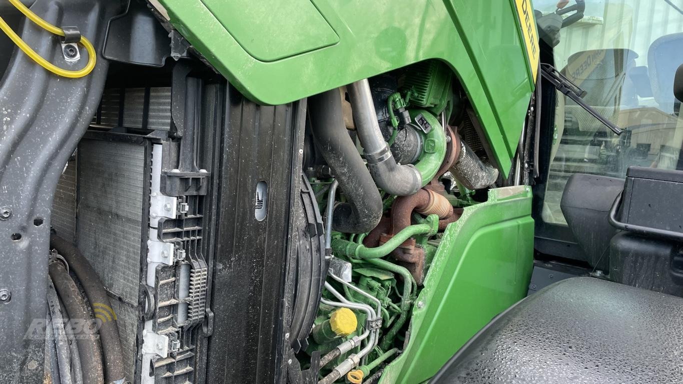 Traktor des Typs John Deere 6R215, Neumaschine in Damme (Bild 20)