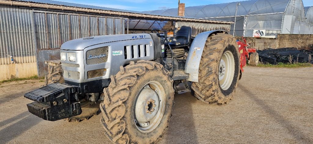 Traktor a típus Lamborghini R3-75 T, Gebrauchtmaschine ekkor: ST MARTIN EN HAUT (Kép 1)