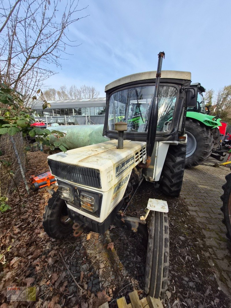 Traktor of the type Lamborghini R503, Gebrauchtmaschine in Reinheim (Picture 1)