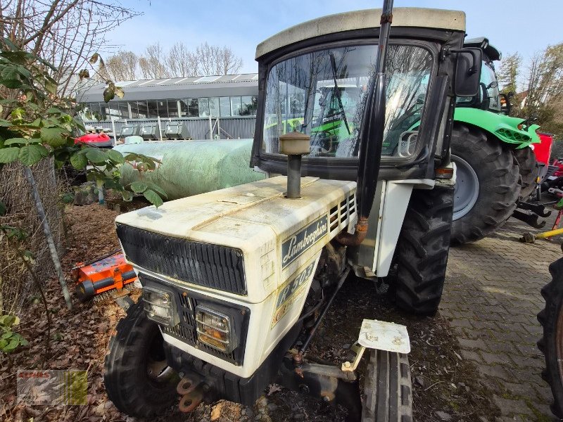 Traktor tip Lamborghini R503, Gebrauchtmaschine in Reinheim