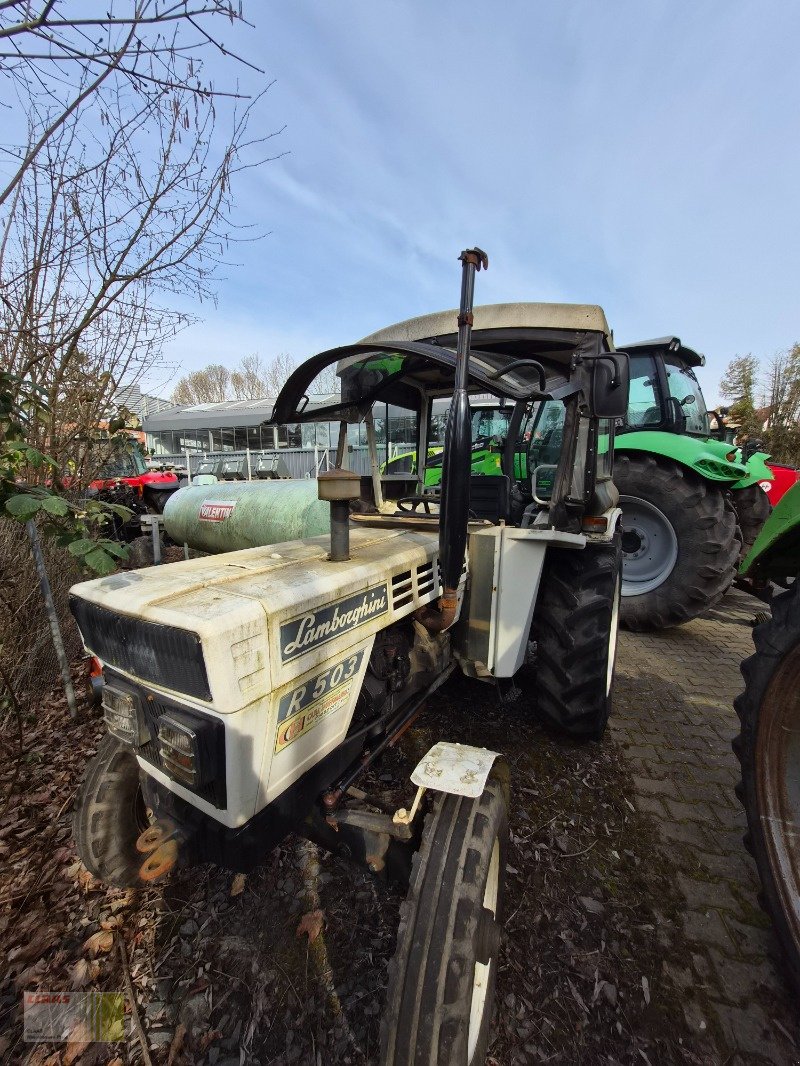 Traktor of the type Lamborghini R503, Gebrauchtmaschine in Reinheim (Picture 2)
