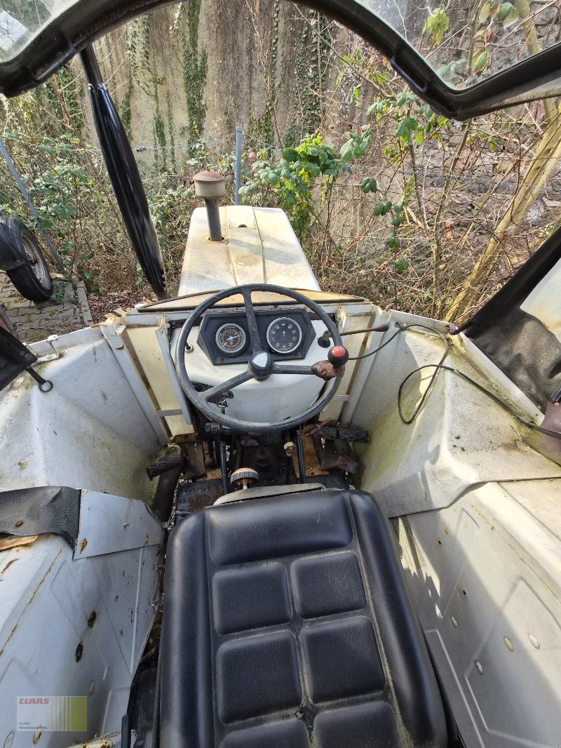 Traktor of the type Lamborghini R503, Gebrauchtmaschine in Reinheim (Picture 4)