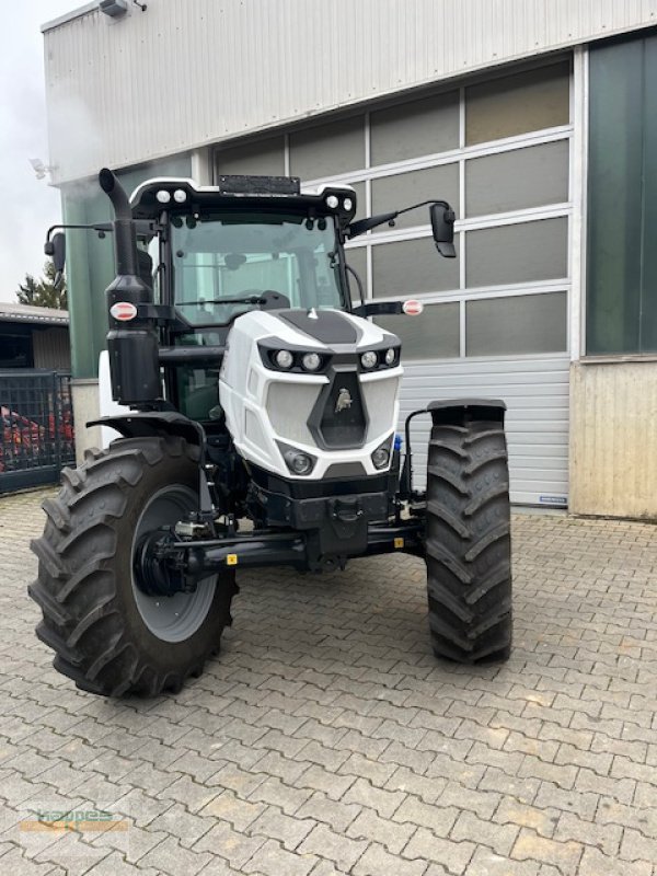 Traktor des Typs Lamborghini Spark 125 R, Neumaschine in Niederstetten (Bild 4)