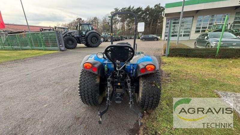 Traktor Türe ait Landini 2-045, Gebrauchtmaschine içinde Hörstel (resim 3)
