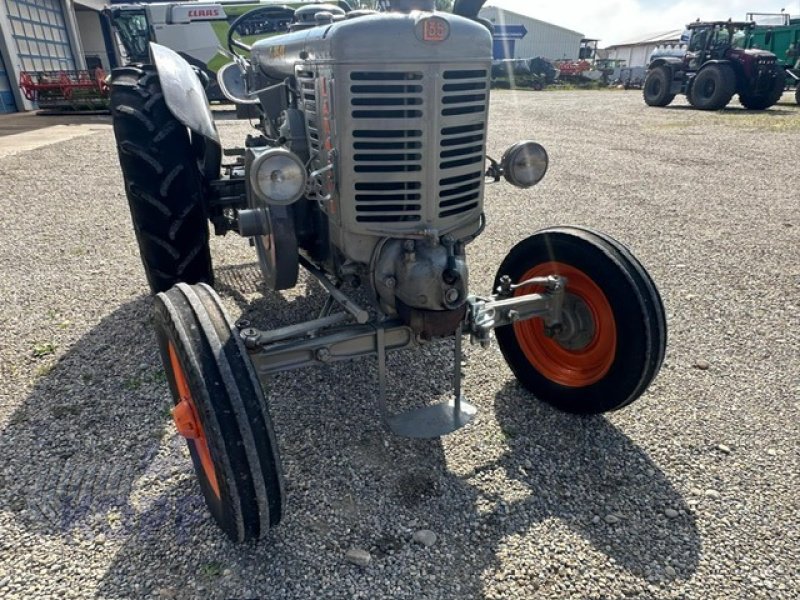 Traktor des Typs Landini Landini Traktor L 35/40 Baujahr 1952 Glühkopf, Gebrauchtmaschine in Schutterzell (Bild 5)
