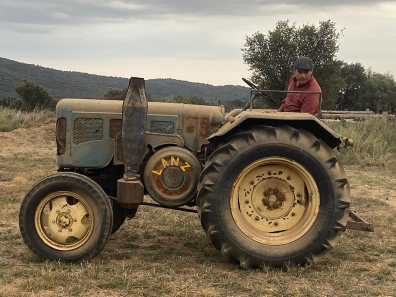 Traktor del tipo Lanz 4006, Gebrauchtmaschine en Cantallops (Imagen 1)