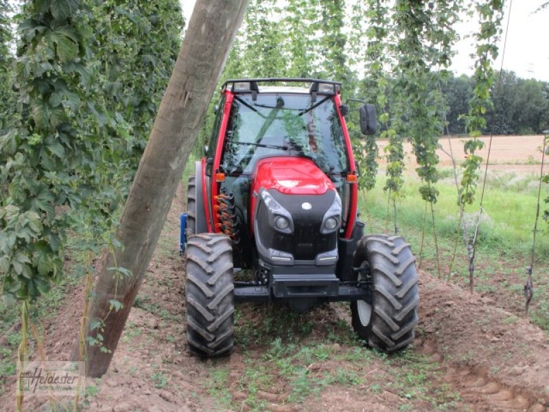 Traktor от тип Lindner Lintrac stufenlos, Neumaschine в Wildenberg (Снимка 21)