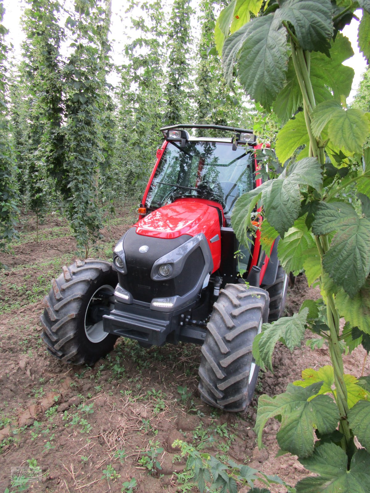 Traktor от тип Lindner Lintrac stufenlos, Neumaschine в Wildenberg (Снимка 23)