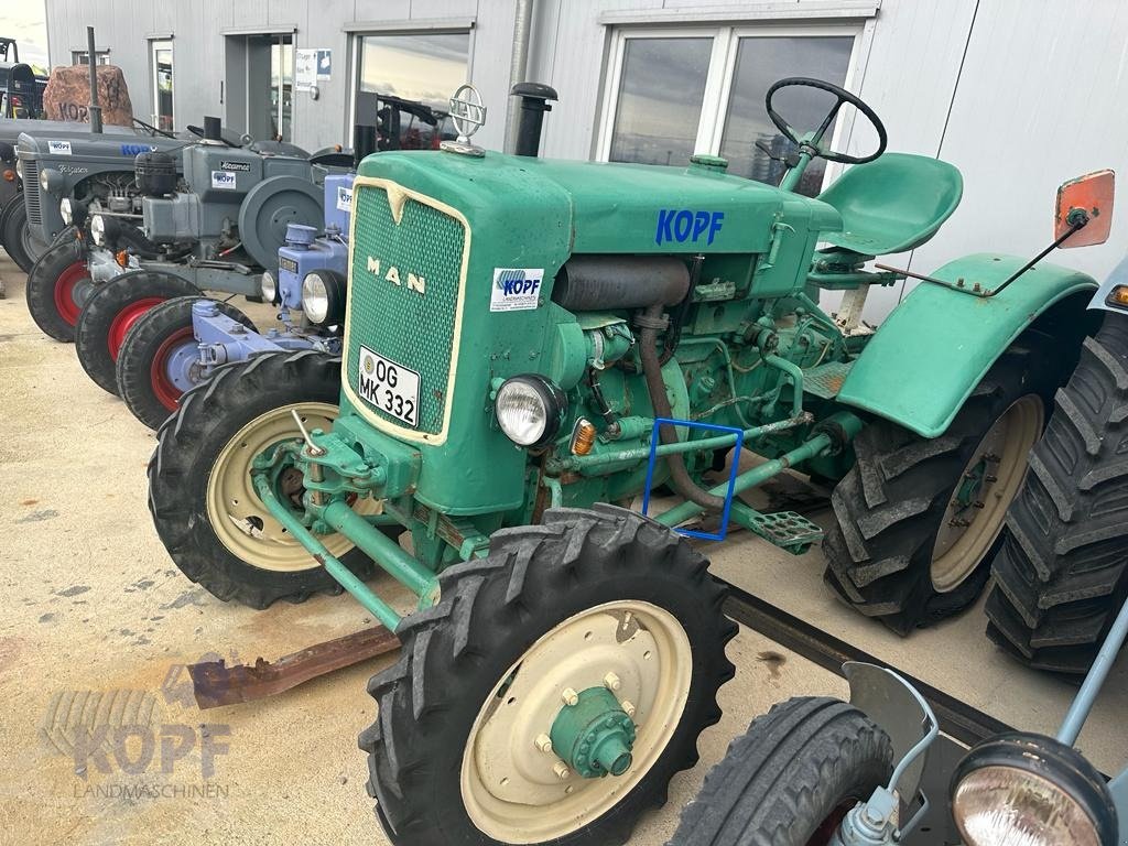 Traktor del tipo MAN MAN Traktor Typ 4N1 Allrad, bj 1959, Gebrauchtmaschine en Schutterzell (Imagen 5)