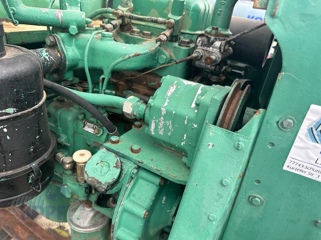 Traktor del tipo MAN MAN Traktor Typ 4N1 Allrad, bj 1959, Gebrauchtmaschine en Schutterzell (Imagen 10)