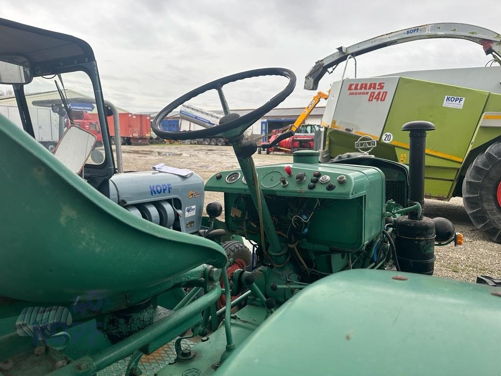 Traktor del tipo MAN MAN Traktor Typ 4N1 Allrad, bj 1959, Gebrauchtmaschine en Schutterzell (Imagen 17)