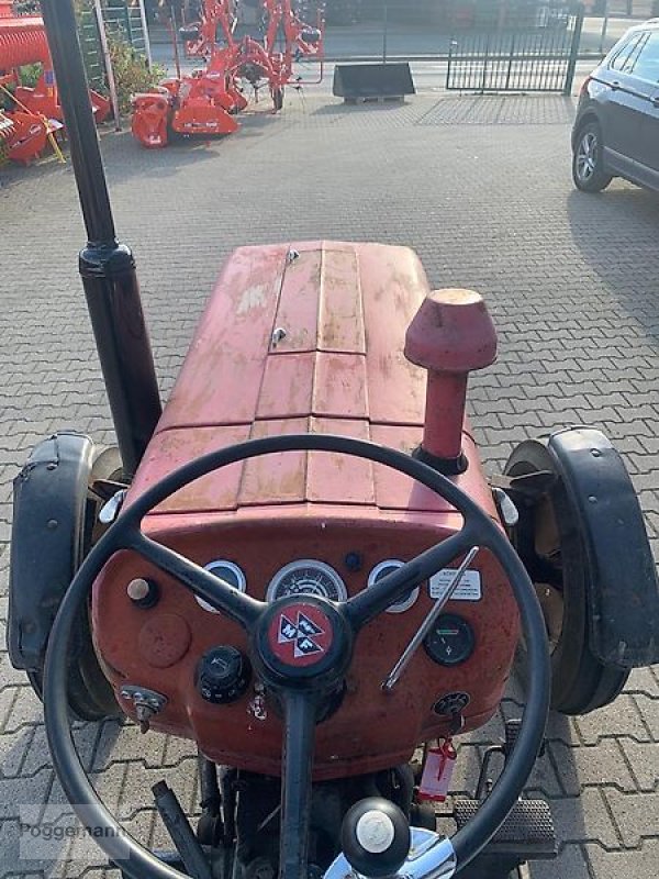 Traktor des Typs Massey Ferguson 133, Gebrauchtmaschine in Bad Iburg - Sentrup (Bild 4)