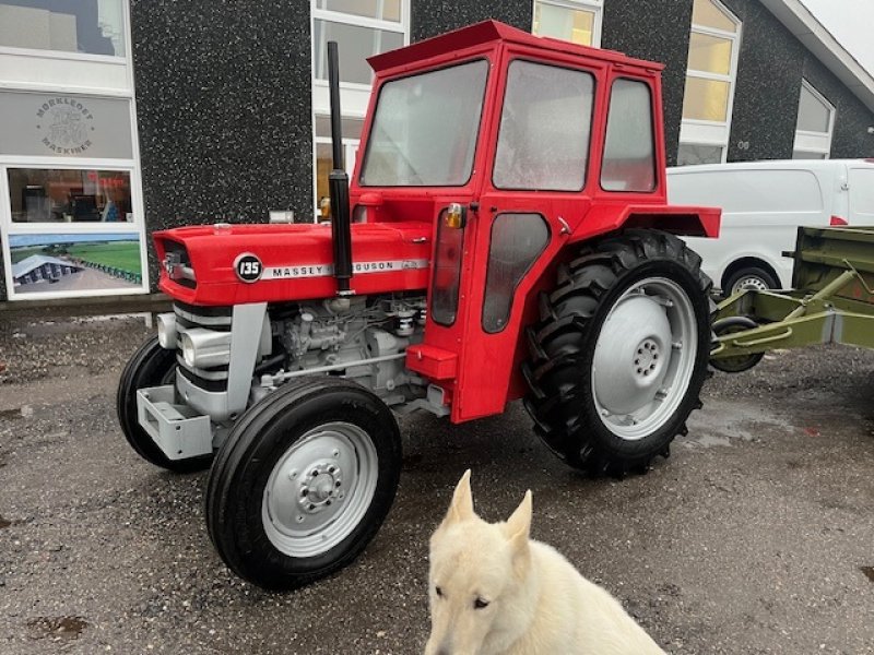 Traktor a típus Massey Ferguson 135 , 3 CYL. KUN 3000 TIMER, Gebrauchtmaschine ekkor: Dronninglund (Kép 1)