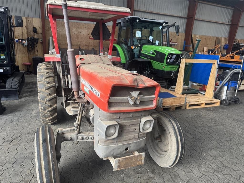 Traktor of the type Massey Ferguson 135 Benzin, Gebrauchtmaschine in Ringe (Picture 11)