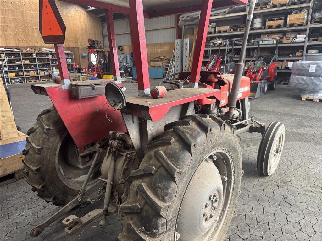 Traktor of the type Massey Ferguson 135 Benzin, Gebrauchtmaschine in Ringe (Picture 3)