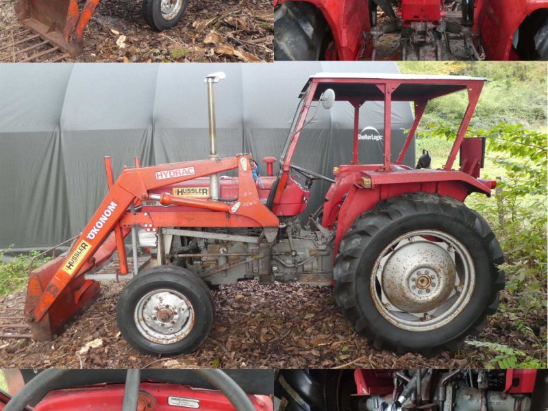 Traktor des Typs Massey Ferguson 135 Super, Gebrauchtmaschine in Söding-Sankt Johann (Bild 1)