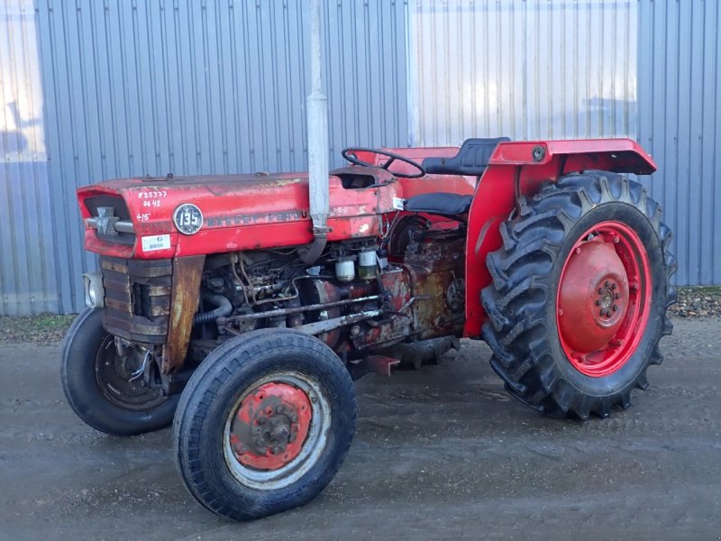 Traktor a típus Massey Ferguson 135, Gebrauchtmaschine ekkor: Viborg (Kép 1)