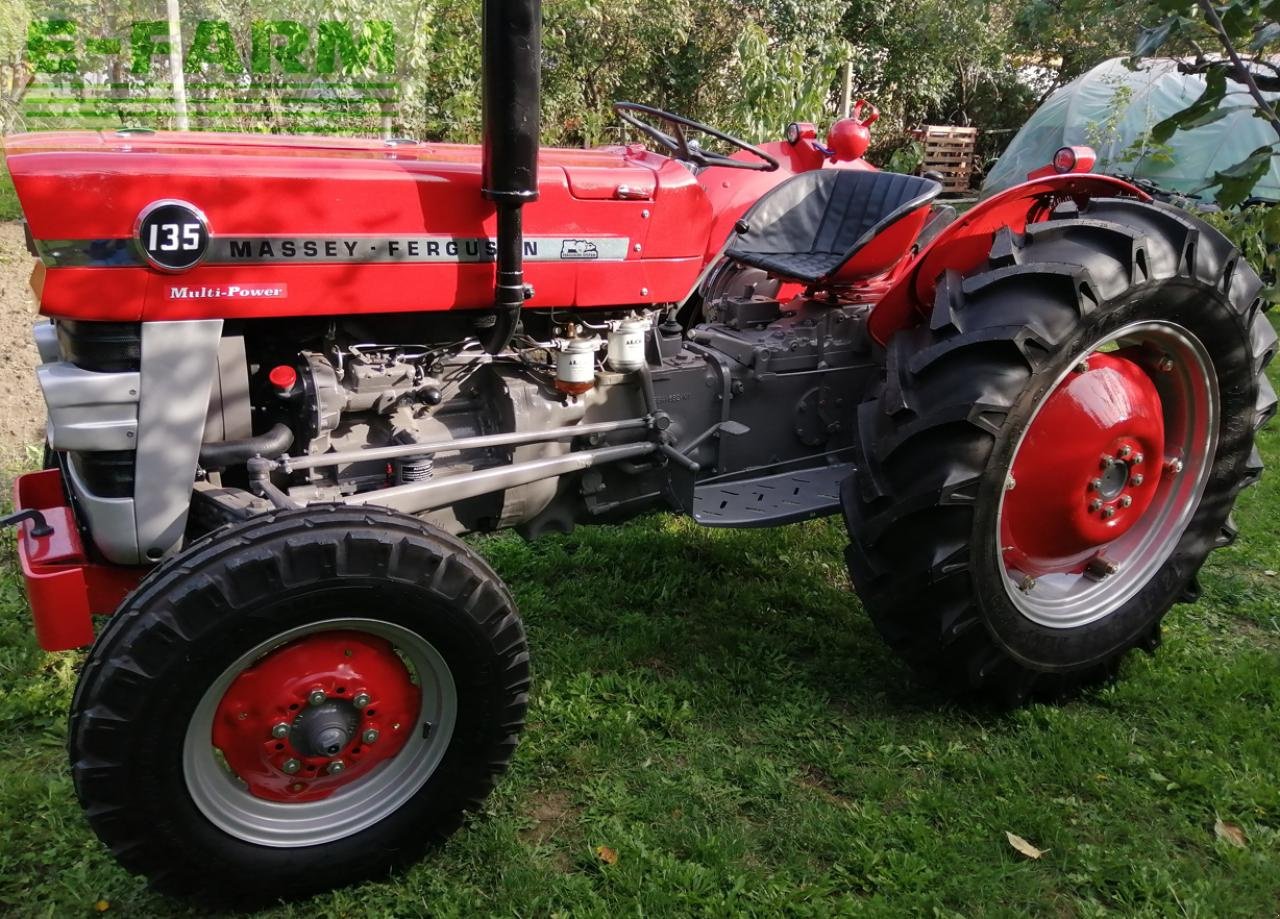 Traktor типа Massey Ferguson 135, Gebrauchtmaschine в Hamburg (Фотография 1)