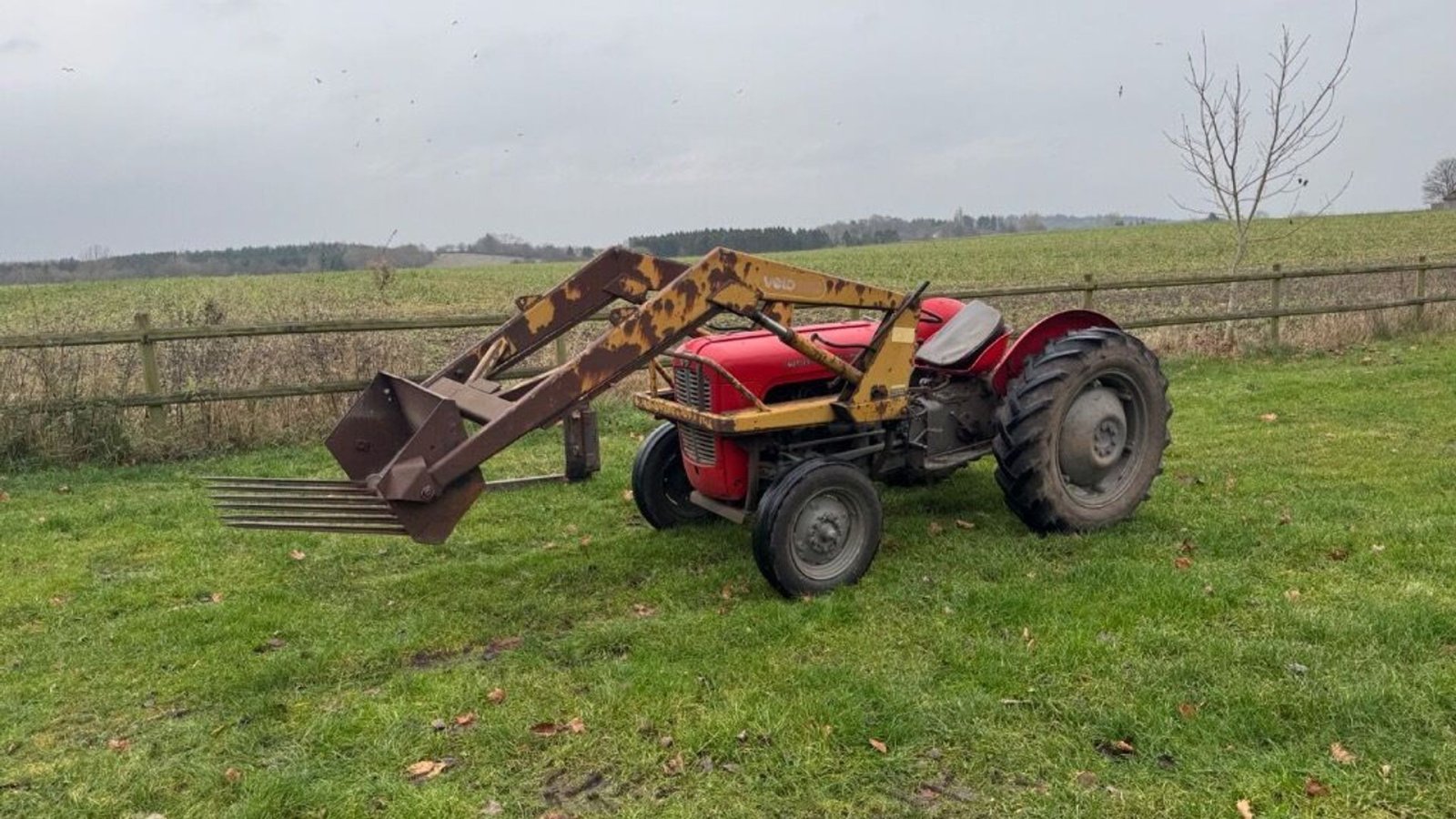 Traktor za tip Massey Ferguson 135, Gebrauchtmaschine u Rødovre (Slika 1)
