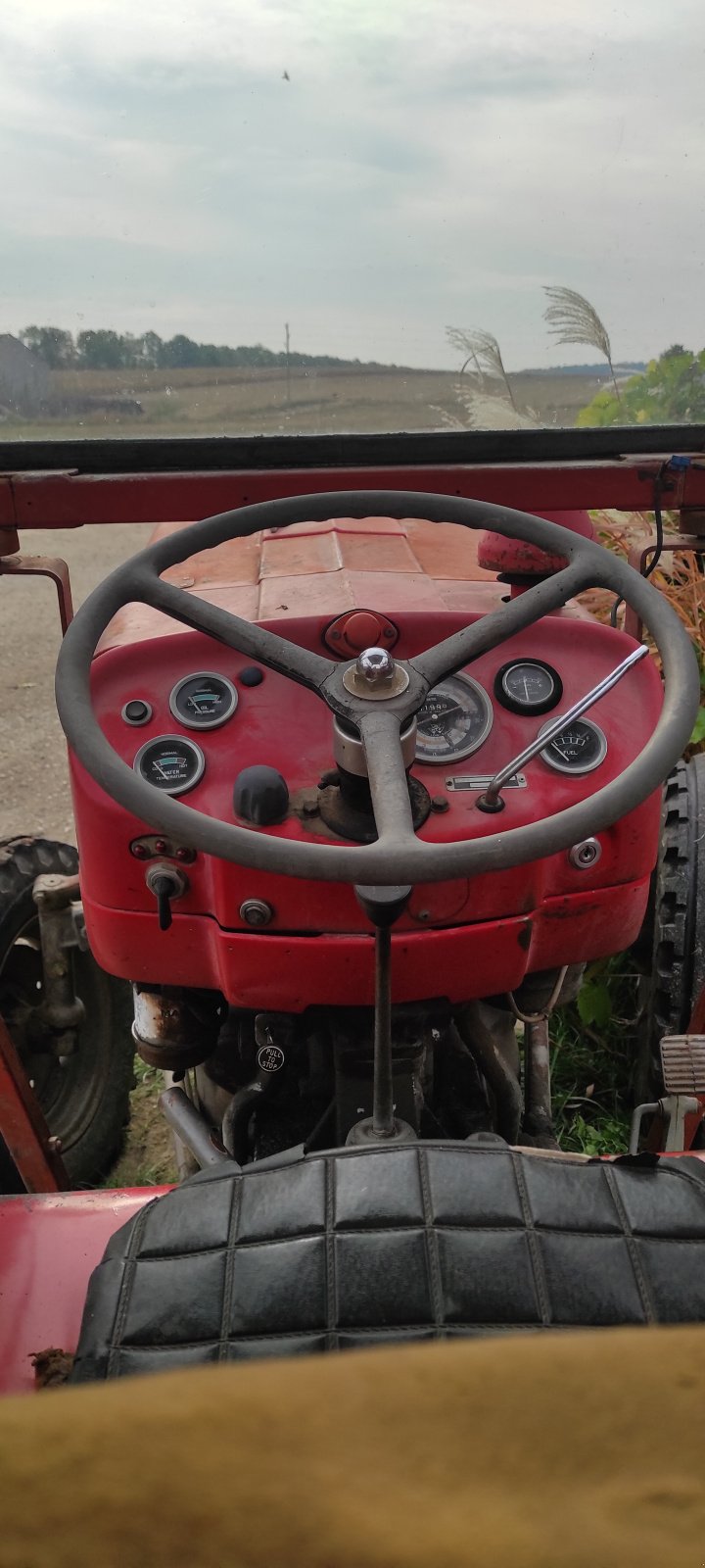 Traktor of the type Massey Ferguson 135, Gebrauchtmaschine in gross schweinbarth (Picture 3)