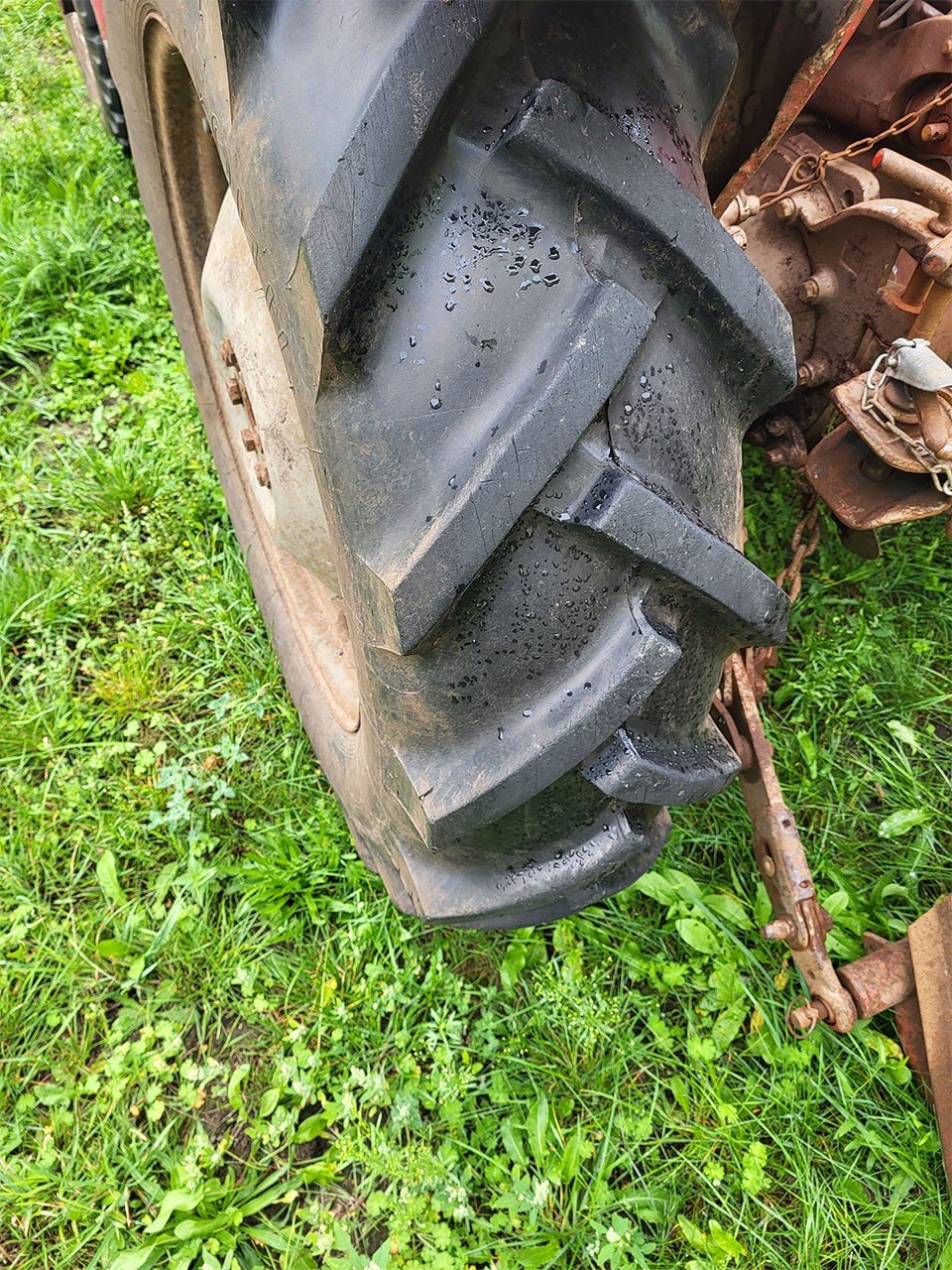 Traktor του τύπου Massey Ferguson 135, Gebrauchtmaschine σε Treuenbrietzen (Φωτογραφία 3)