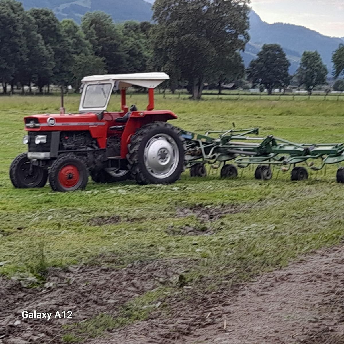 Traktor typu Massey Ferguson 165 MP Super, Gebrauchtmaschine w Burgkirchen (Zdjęcie 2)