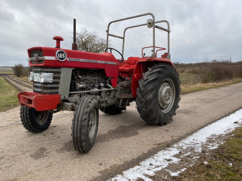 Traktor типа Massey Ferguson 165, Gebrauchtmaschine в Bad Windsheim (Фотография 1)