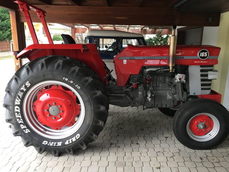 Traktor Türe ait Massey Ferguson 165, Gebrauchtmaschine içinde Kottingbrunn (resim 1)