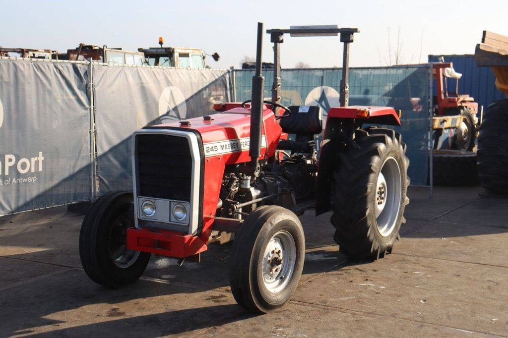 Traktor van het type Massey Ferguson 245, Gebrauchtmaschine in Antwerpen (Foto 10)