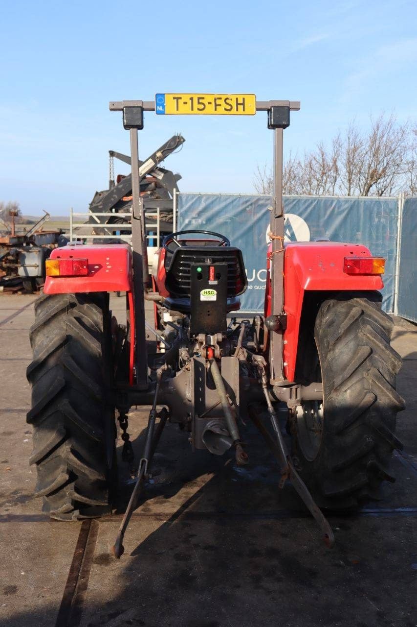 Traktor des Typs Massey Ferguson 245, Gebrauchtmaschine in Antwerpen (Bild 5)