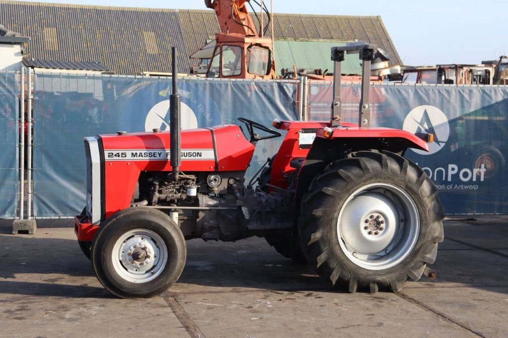 Traktor des Typs Massey Ferguson 245, Gebrauchtmaschine in Antwerpen (Bild 1)
