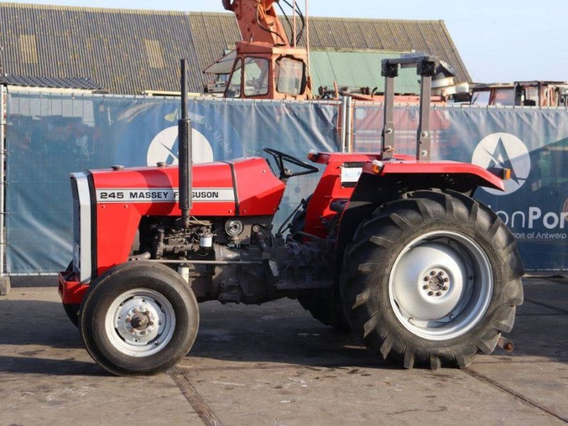Traktor Türe ait Massey Ferguson 245, Gebrauchtmaschine içinde Antwerpen (resim 1)