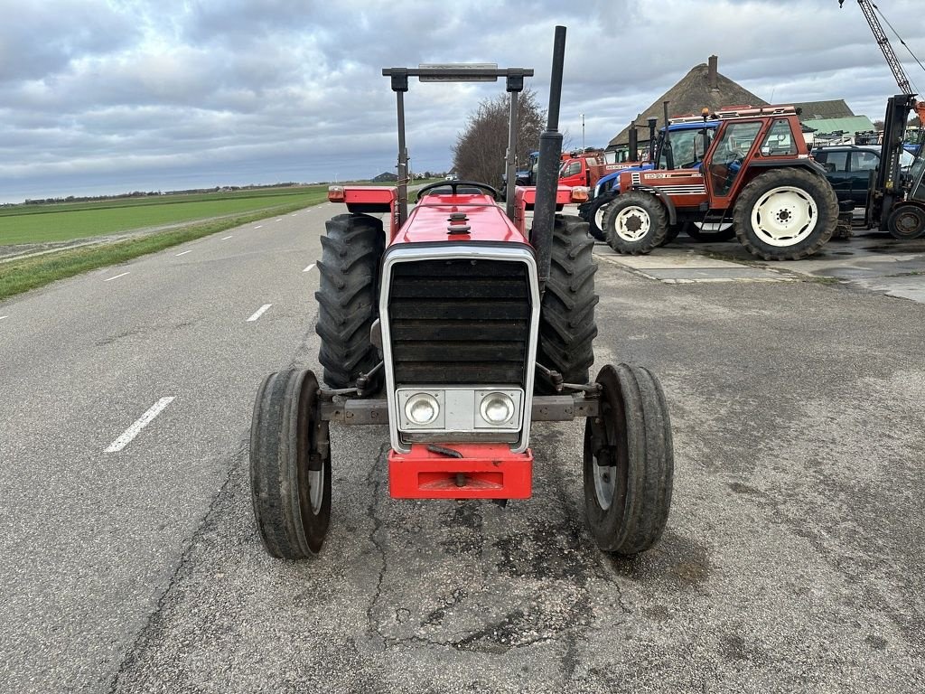 Traktor typu Massey Ferguson 245, Gebrauchtmaschine v Callantsoog (Obrázek 2)