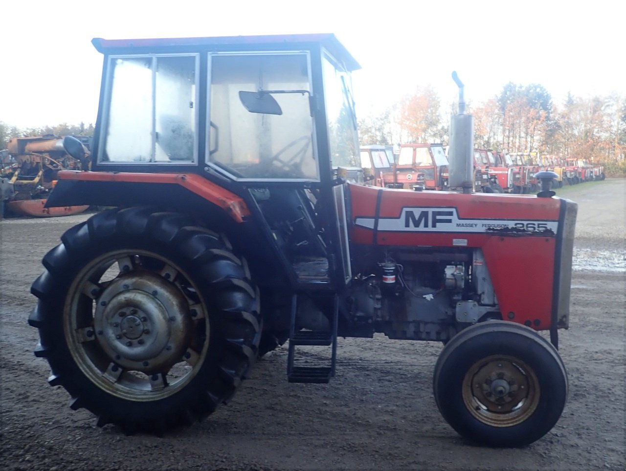 Traktor a típus Massey Ferguson 265, Gebrauchtmaschine ekkor: Viborg (Kép 5)